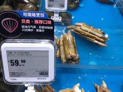 -盒马鲜生(皇庭广场店)
