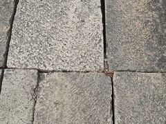 -孙武文化园-停车场