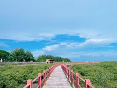 -北海金海湾红树林生态旅游区