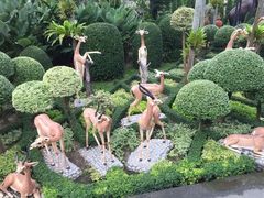 -东芭乐园