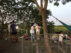 -南汇嘴观海公园