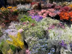 -循礼门鲜花花市(武汉循礼门店)