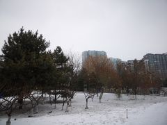 -望湖公园