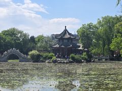 -莲池书院博物馆