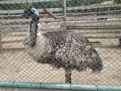 -秦皇岛野生动物园