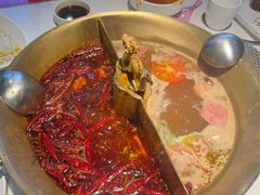 -小龙翻大江文化火锅(宽窄店)