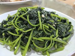 -新合益乡村农庄