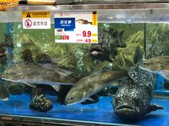 -东江海鲜酒家(艺都分店)