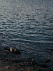 -美肤盾祛痘·问题肌头疗管理中心