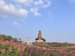 -大塘金香草谷