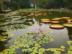-国家植物园南园