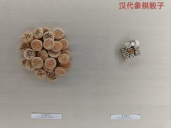-古陶文明博物馆