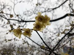 -白塘生态植物园