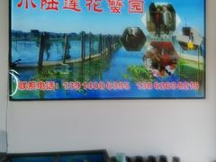 -小陆莲花蟹园农家乐(莲花岛店)