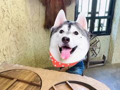 -上席擂茶·新中式青年茶馆(古城店)