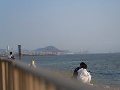 -宝安西湾红树林湿地公园