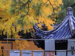 -惠山古镇·寄畅园