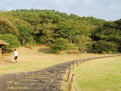 DSC_7483-汉拿树木园