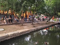 -春风习习