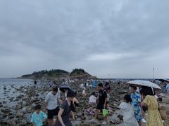 -小石岛景区