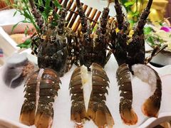 -尚海豆捞(乐虹坊店)