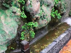 -张鸟园农家乐(张鸟园店)