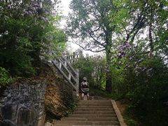 -天燕原始生态旅游区-天门垭景区