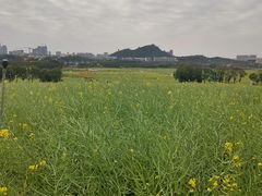 -光明小镇欢乐田园