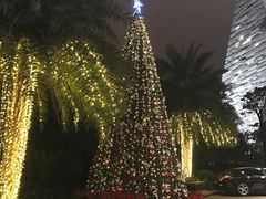 -广州富力丽思卡尔顿酒店