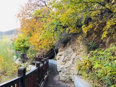 -金龙寺国家森林公园