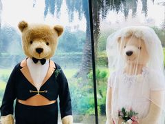 -济州岛泰迪熊博物馆