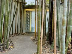 -穹六人间 people 6(岳阳路店)