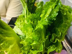 生菜-石记东北风味烤肉店(子固路店)