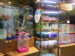 -龟与熊猫宠物公园(南坪店)