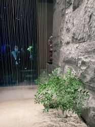 点击看大图 -美壹生皮肤管理中心