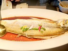 -醉庐·新上海菜(南京西路店)