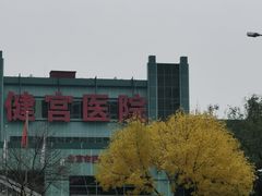 -老爆肚满五香烧牛羊肉