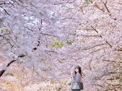 -杭州少年儿童公园
