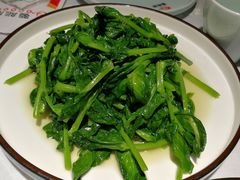 清炒豌豆尖-雲蜀龙阁·金牌水煮鱼(方庄店)