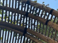 -中国天府农业博览园