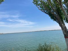 -包头南海湿地景区