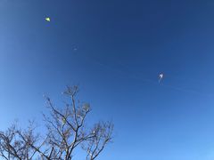 -春花秋色城市公园