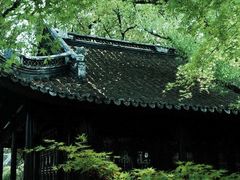 -上海醉白池公园