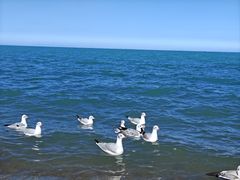 -青海湖国家重点风景名胜区