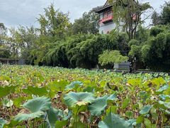 -四川大学(华西校区)