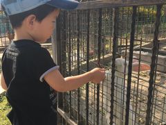 -上海滴水湖皇冠假日酒店