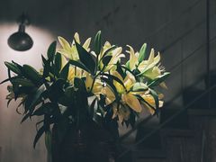 -Apollo·西班牙小酒馆(安福路店)