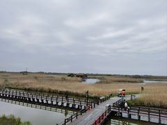 -宁波杭州湾国家湿地公园