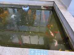 -锦江都城闵行饭店