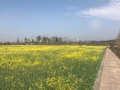 -白鹭湾湿地公园